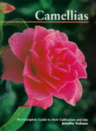 CAMELLIAS - 