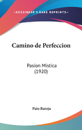 Camino de Perfeccion: Pasion Mistica (1920)
