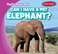 Can I Have a Pet Elephant?