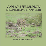Can You See Me Now: Cheetahs Hiding in Plain Sight
