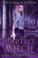 Captive Witch: A Reverse Harem Urban Fantasy Adventure