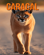 Caracal: Fun and Fascinating Facts and Pictures About Caracal