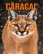 Caracal: La gua esencial de este increble animal con fotos increbles