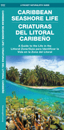 Caribbean Seashore Life (Criaturas del Litoral Caribeno): A Guide to the Life in the Littoral Zone (Bilingual)