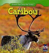 Caribou