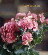 Caro Niederer