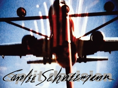 Carolee Schneemann: Split Decision - Schneemann, Carolee, and McEvilley, Thomas (Contributions by), and Drobnick, Jim (Text by)