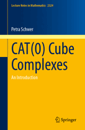 CAT(0) Cube Complexes: An Introduction