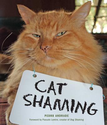 Cat Shaming - Andrade, Pedro
