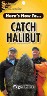 Catch Halibut