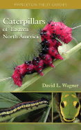 Caterpillars of Eastern North America: A Guide to Identification and Natural History - Wagner, David L