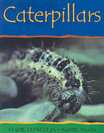 Caterpillars-PB