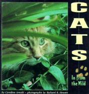 Cats in from the Wild