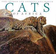 Cats of Africa: Cats of Africa