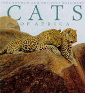 Cats of Africa