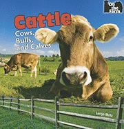 Cattle