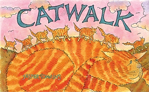 Catwalk