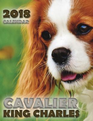 Cavalier King Charles 2018 Calendar - Over the Wall Dogs