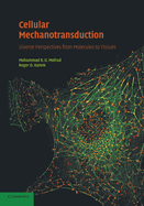 Cellular Mechanotransduction: Diverse Perspectives from Molecules to Tissues