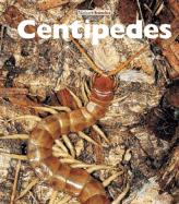 Centipedes - Merrick, Patrick
