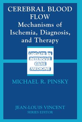 Cerebral Blood Flow: Mechanisms of Ischemia, Diagnosis, and Therapy - Pinsky, Michael (Editor)