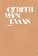 Cerith Wyn Evans