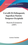 Cervelli Di Delinquenti, Superficie Parieto-Temporo-Occipitale: Ricerche Di Anatomia (1887)