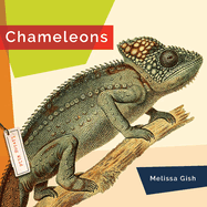 Chameleons