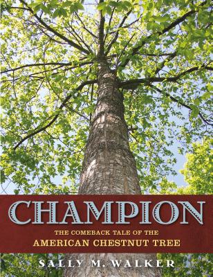 Champion: The Comeback Tale of the American Chestnut Tree - Walker, Sally M
