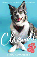 Chandi: The Rescue Dog Who Stole a Nation's Heart