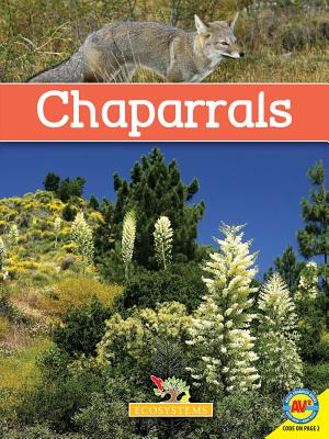 Chaparrals with Code - De Medeiros, Michael