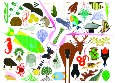 Charley Harper's Animal Kingdom: Popular Edition - Oldham, Todd (Editor), and Harper, Charley