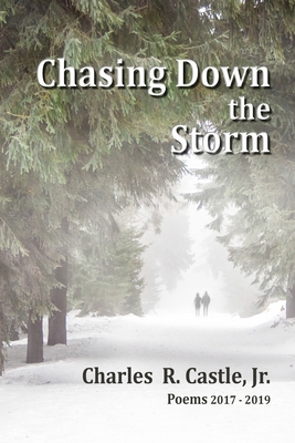Chasing Down the Storm - Castle Jr, Charles R