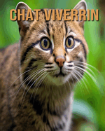 Chat Viverrin: D?couvrez des Informations et des Images ?tonnantes Concernant les Chat Viverrin