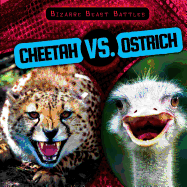 Cheetah vs. Ostrich