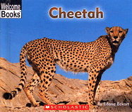 Cheetah - Eckart, Edana