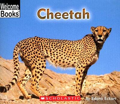 Cheetah - Eckart, Edana