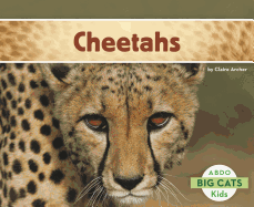 Cheetahs