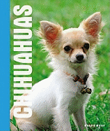 Chihuahuas