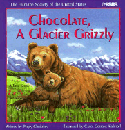 Chocolate, a Glacier Grizzly