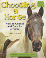 Choosing a Horse: How to Choose and Care for a Horse