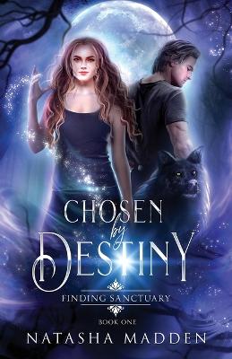 Chosen by Destiny: Finding Sanctuary - Madden, Natasha