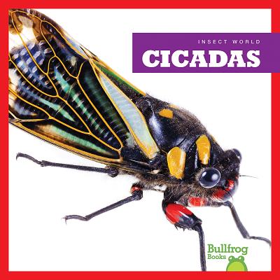 Cicadas - Schuh, Mari C