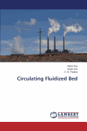 Circulating Fluidized Bed