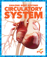 Circulatory System