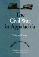 Civil War in Appalachia: Collected Essays