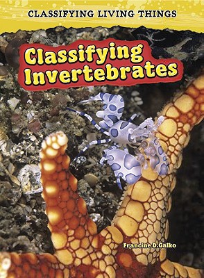 Classifying Invertebrates - Galko, Francine