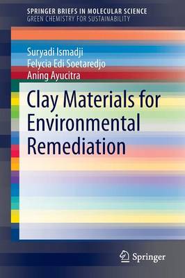 Clay Materials for Environmental Remediation - Ismadji, Suryadi, and Soetaredjo, Felycia Edi, and Ayucitra, Aning