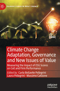 Climate Change Adaptation, Governance and New Issues of Value: Measuring the Impact of ESG Scores on CoE and Firm Performance