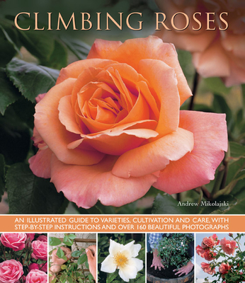 Climbing Roses - Mikolajski, Andrew
